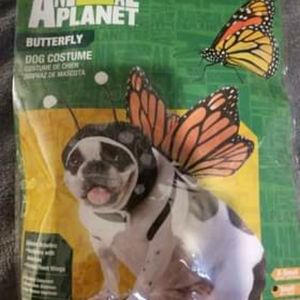 Butterfly costume for pets